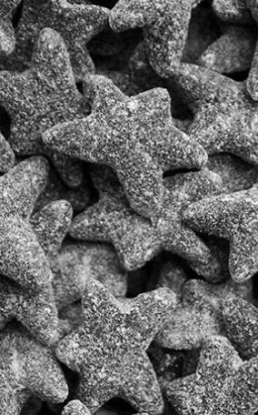 17018-1 Seesterne extra Salzig 2kg